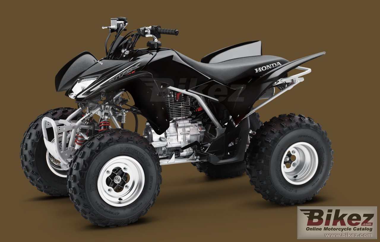 Big Honda trx250x picture and wallpaper from Bikez.com